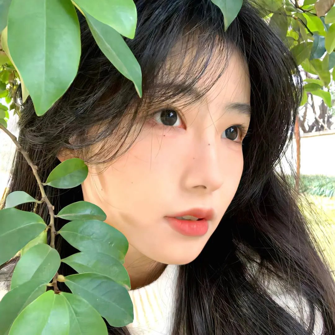 胜利之光 第四季